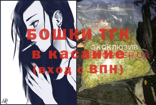 ГАЛЛЮЦИНОГЕННЫЕ ГРИБЫ Баксан